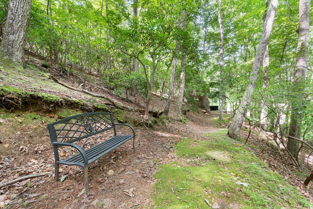341 Valley View Road, Ellijay GA 30536 - Photo