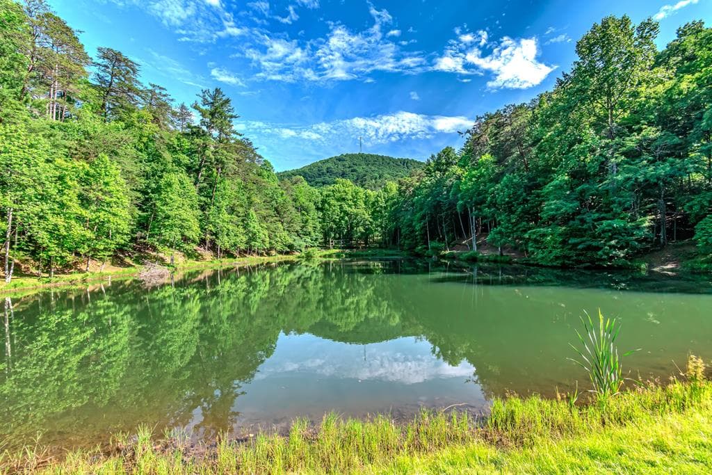341 Valley View Road, Ellijay GA 30536 - Photo