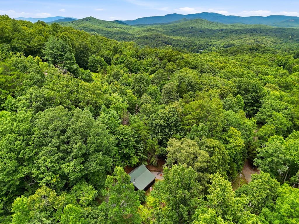 220 Oak Loop, Mineral Bluff GA 30559 - Photo