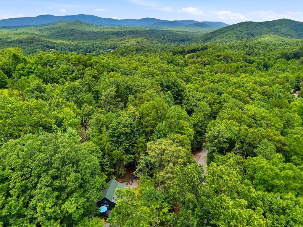 220 Oak Loop, Mineral Bluff GA 30559 - Photo