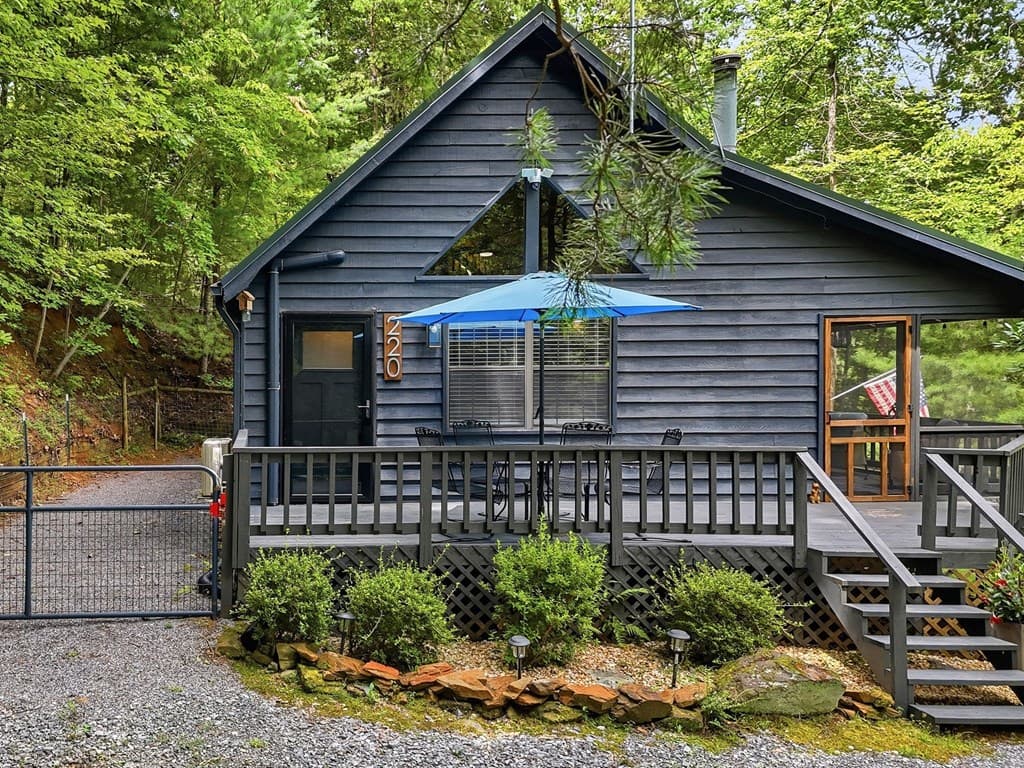 220 Oak Loop, Mineral Bluff GA 30559 - Photo