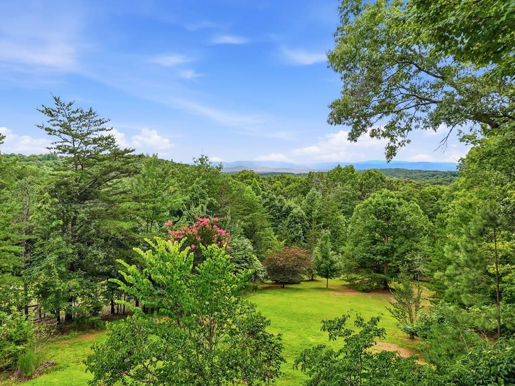 516 Endless View Road, Mineral Bluff GA 30559 - Photo