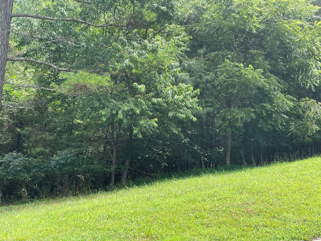Lot 1 Pinehurst, Blairsville GA 30512 - Photo