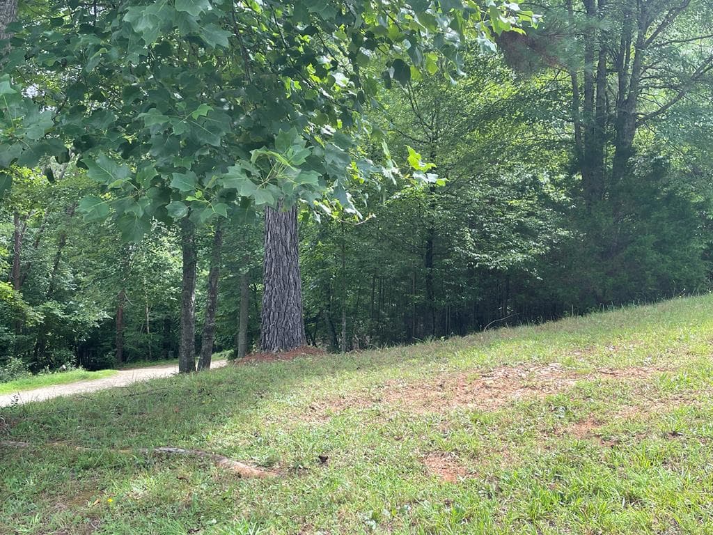 Lot 1 Pinehurst, Blairsville GA 30512 - Primary photo