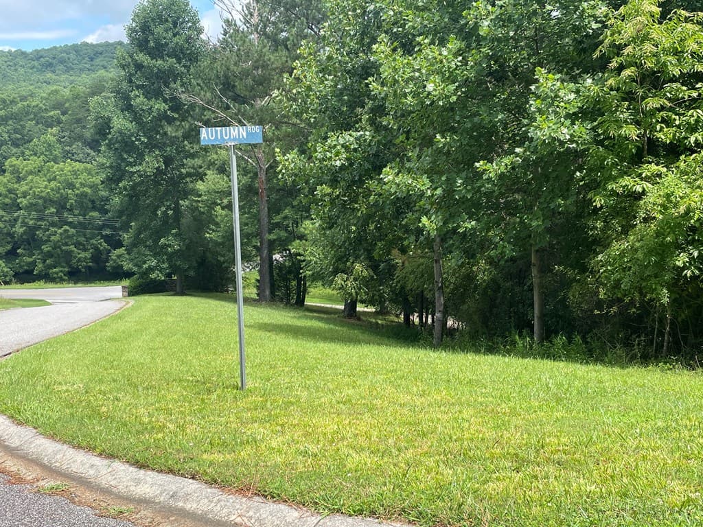 Lot 1 Pinehurst, Blairsville GA 30512 - Photo