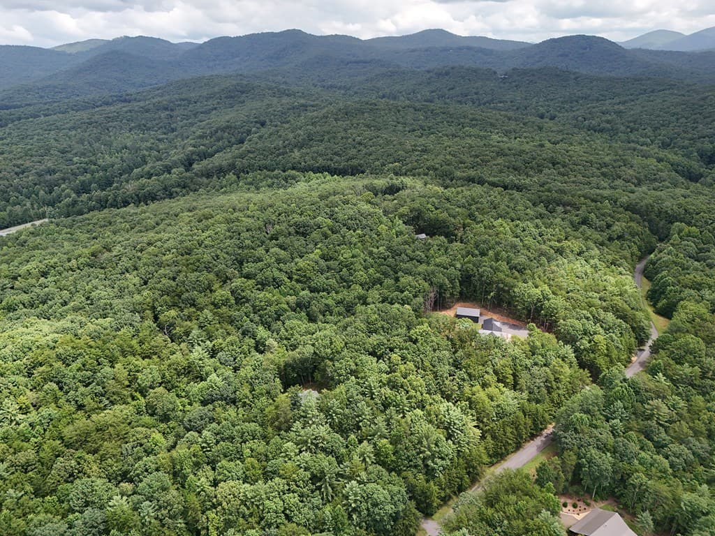 LOT 5 East Ridge Lane, Ellijay GA 30540 - Photo