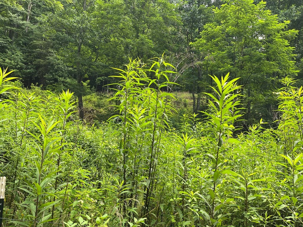 00 Bates Creek Road, Murphy NC 28906 - Photo