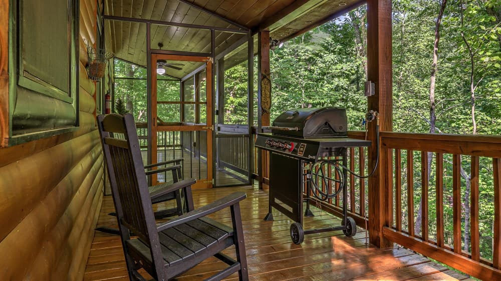 155 Shayla Drive, Blue Ridge GA 30513 - Photo