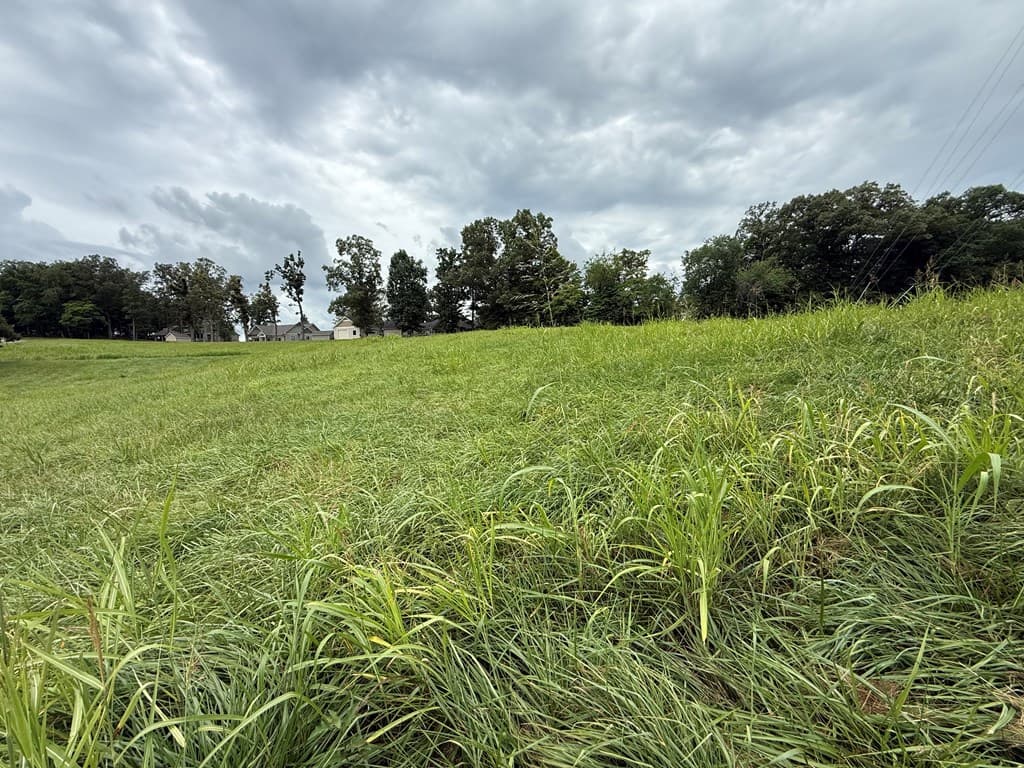 LOT 2 Viewpoint Lane, Blairsville GA 30512 - Photo