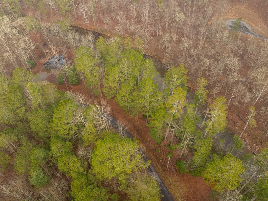 Lot 1742 Meadow Lane, Talking Rock GA 30175 - Photo