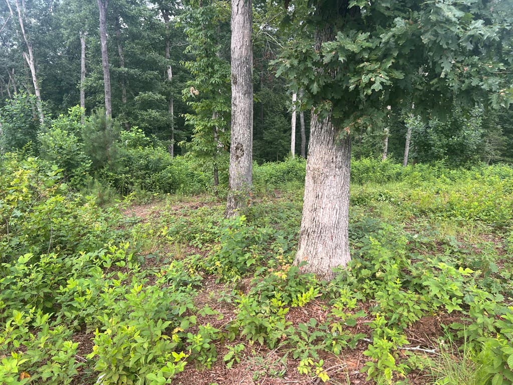 Lot 9 Mystic Dr, Ellijay GA 30540 - Photo