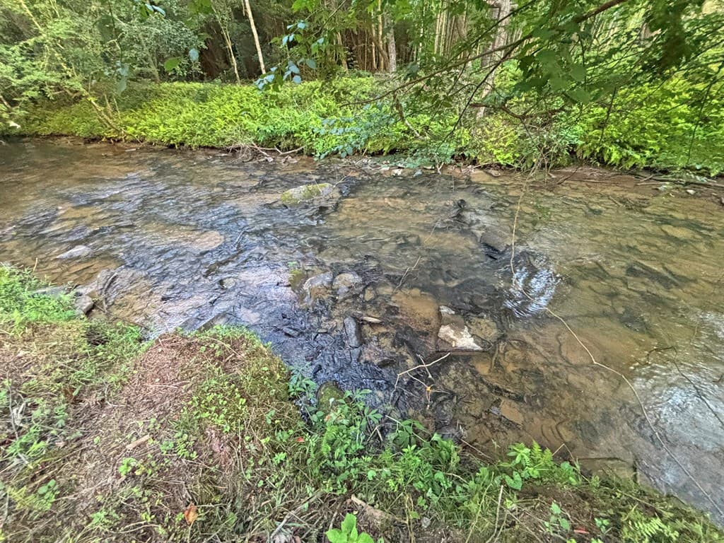 Lot 17 Mt. Springer Road, Ellijay GA 30540 - Photo