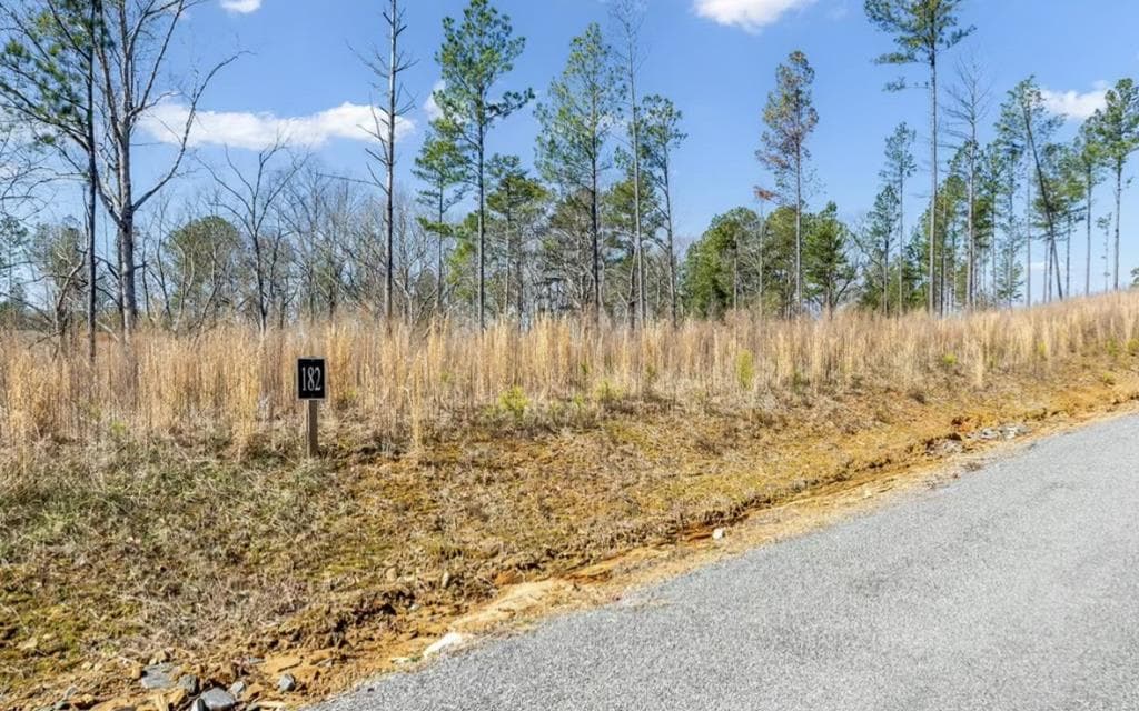 182 Vista Creek Drive, Talking Rock GA 30175 - Photo