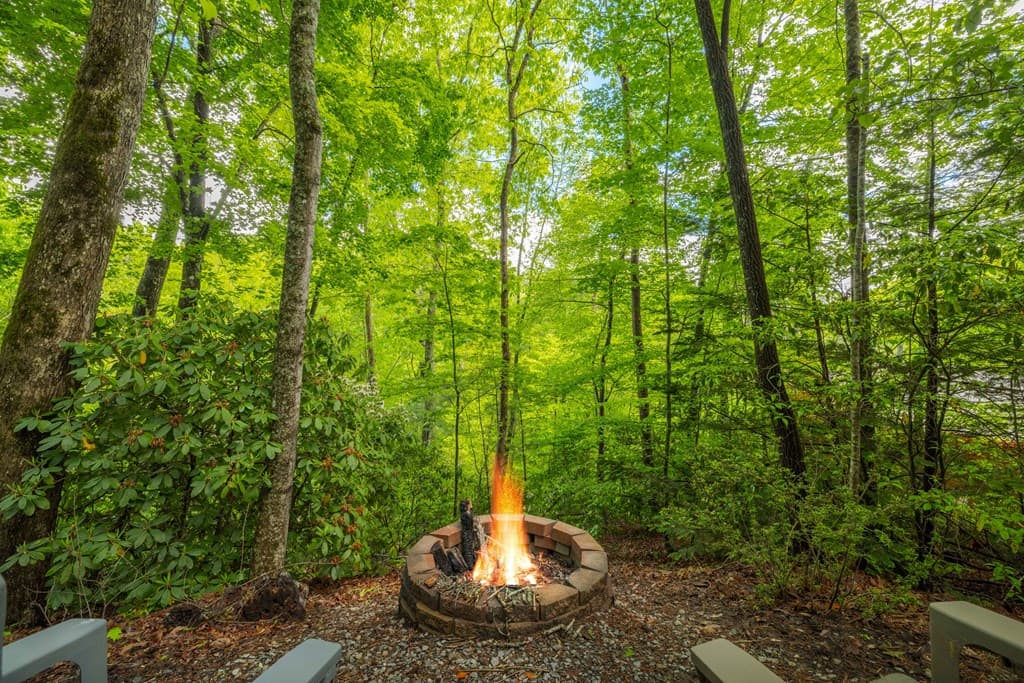 203 Mountain View Drive, Cherry Log GA 30522 - Photo