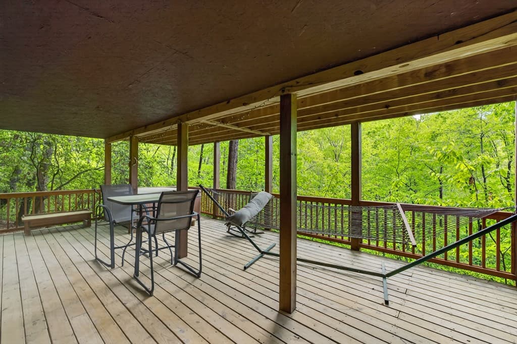203 Mountain View Drive, Cherry Log GA 30522 - Photo