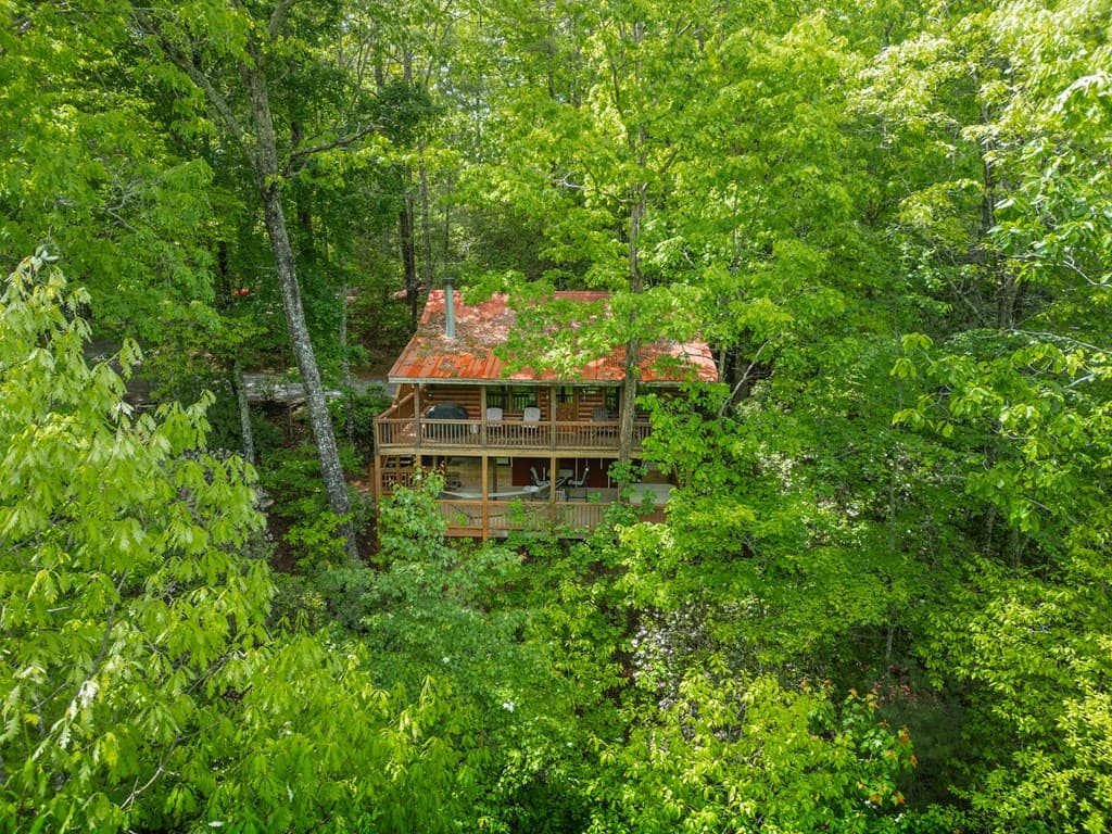 203 Mountain View Drive, Cherry Log GA 30522 - Photo