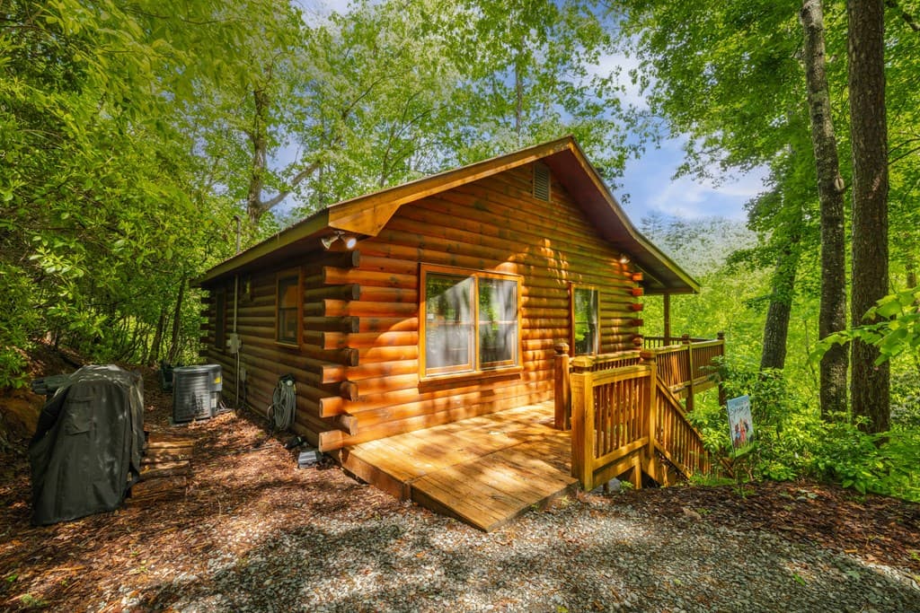 203 Mountain View Drive, Cherry Log GA 30522 - Photo