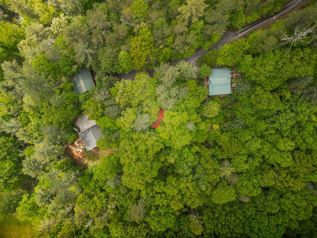 203 Mountain View Drive, Cherry Log GA 30522 - Photo