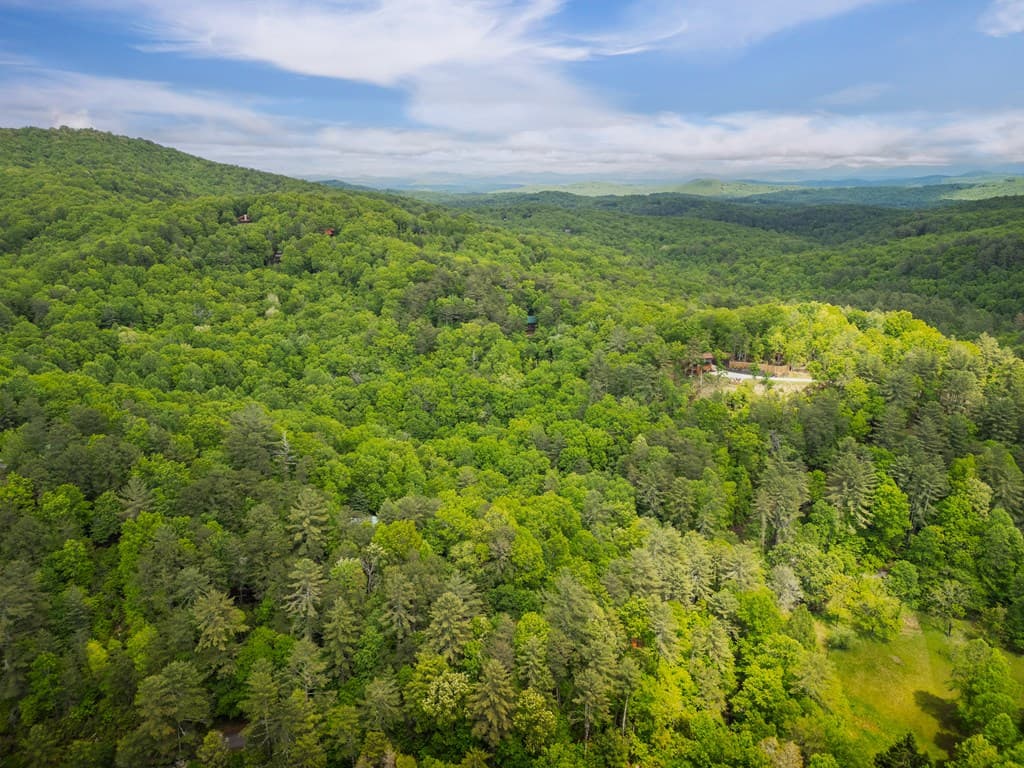 203 Mountain View Drive, Cherry Log GA 30522 - Photo