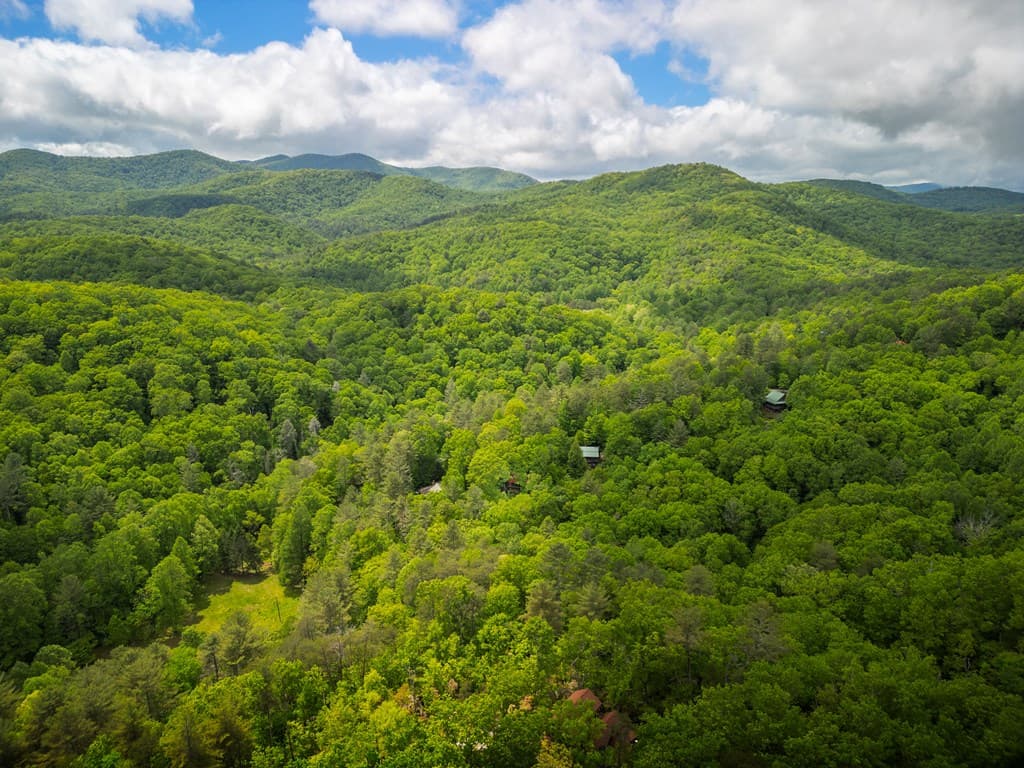 203 Mountain View Drive, Cherry Log GA 30522 - Photo