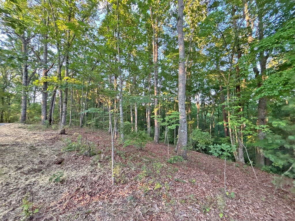 1720 Mt. Springer Road, Ellijay GA 30540 - Photo