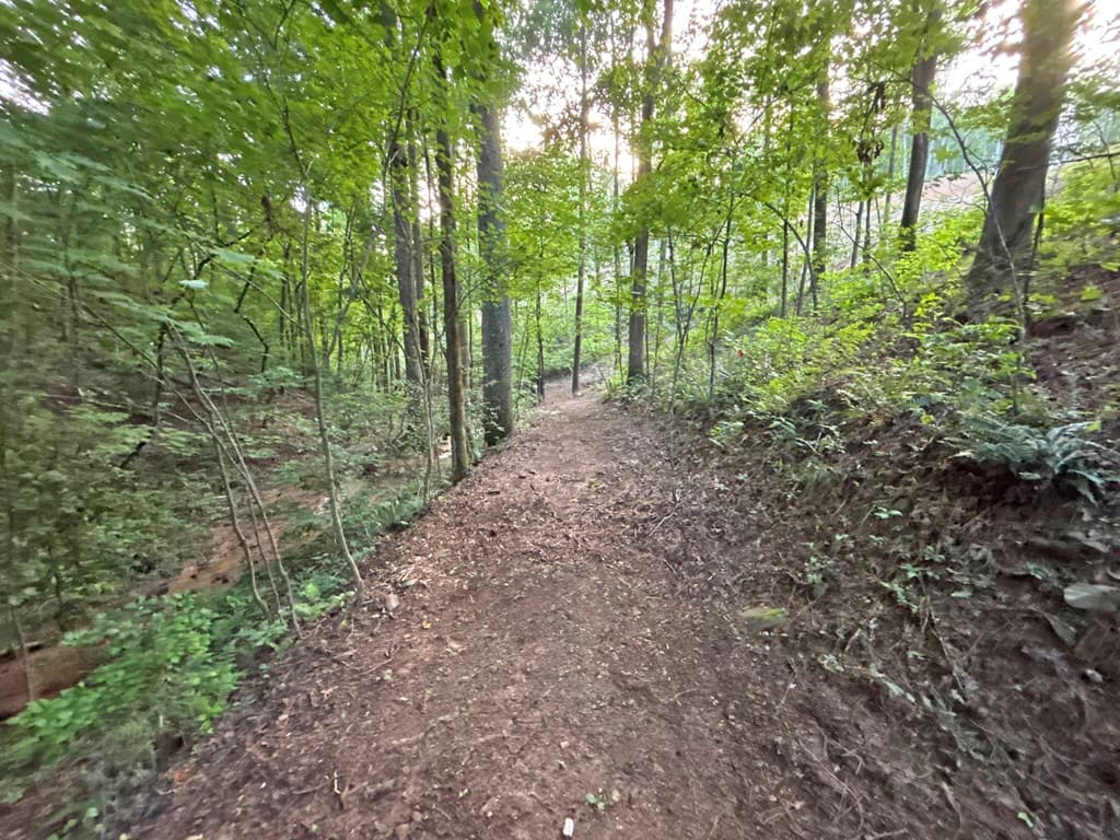 1720 Mt. Springer Road, Ellijay GA 30540 - Photo