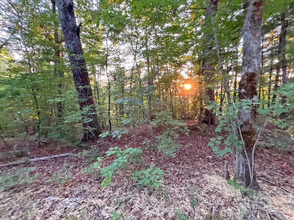 1720 Mt. Springer Road, Ellijay GA 30540 - Photo