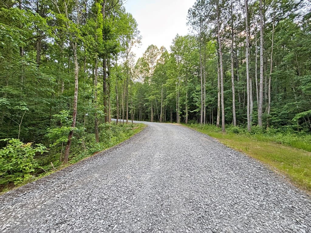 1720 Mt. Springer Road, Ellijay GA 30540 - Photo