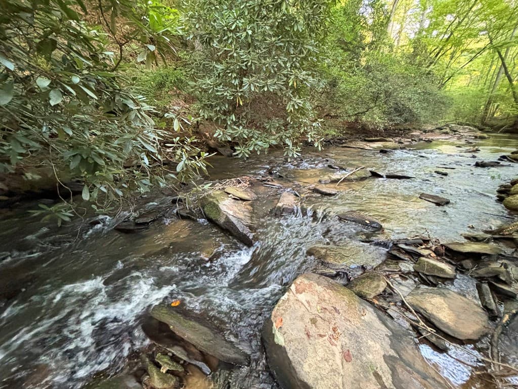 1720 Mt. Springer Road, Ellijay GA 30540 - Photo