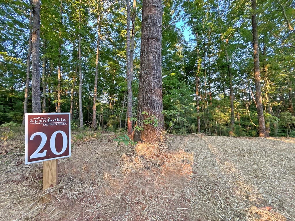 1720 Mt. Springer Road, Ellijay GA 30540 - Photo