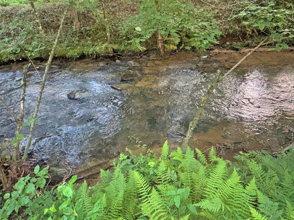1720 Mt. Springer Road, Ellijay GA 30540 - Photo