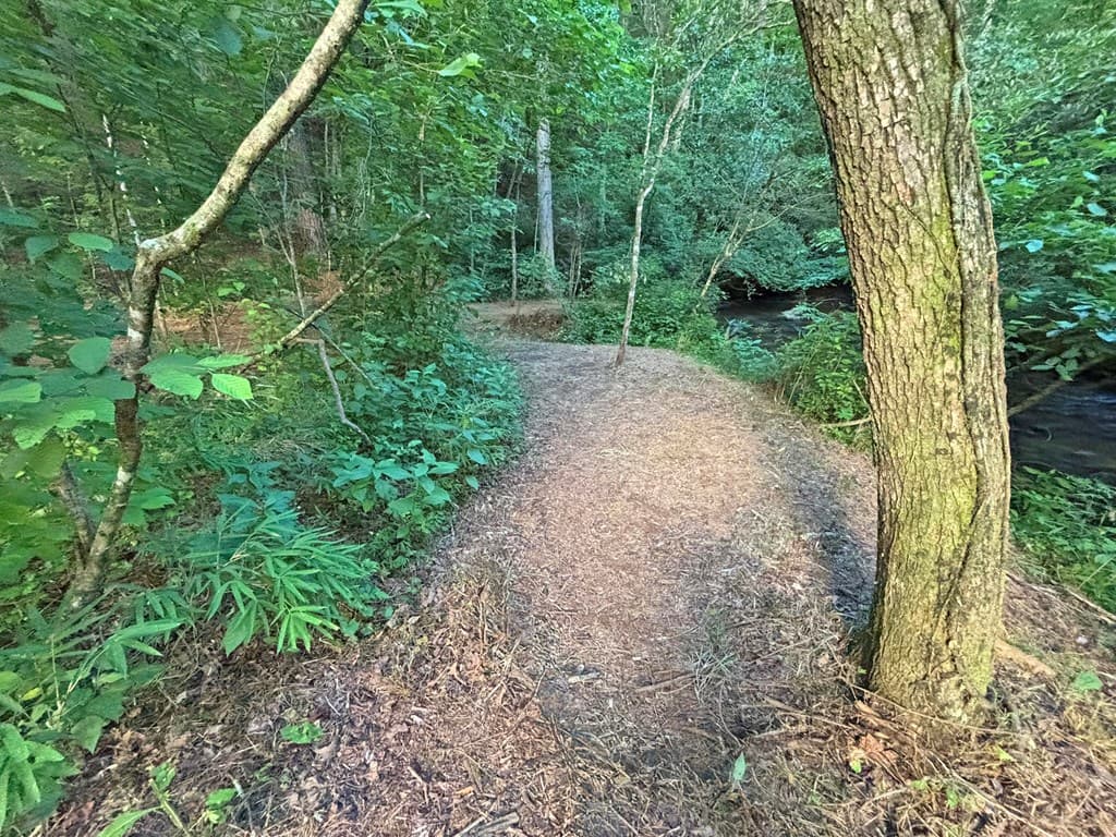 1720 Mt. Springer Road, Ellijay GA 30540 - Photo