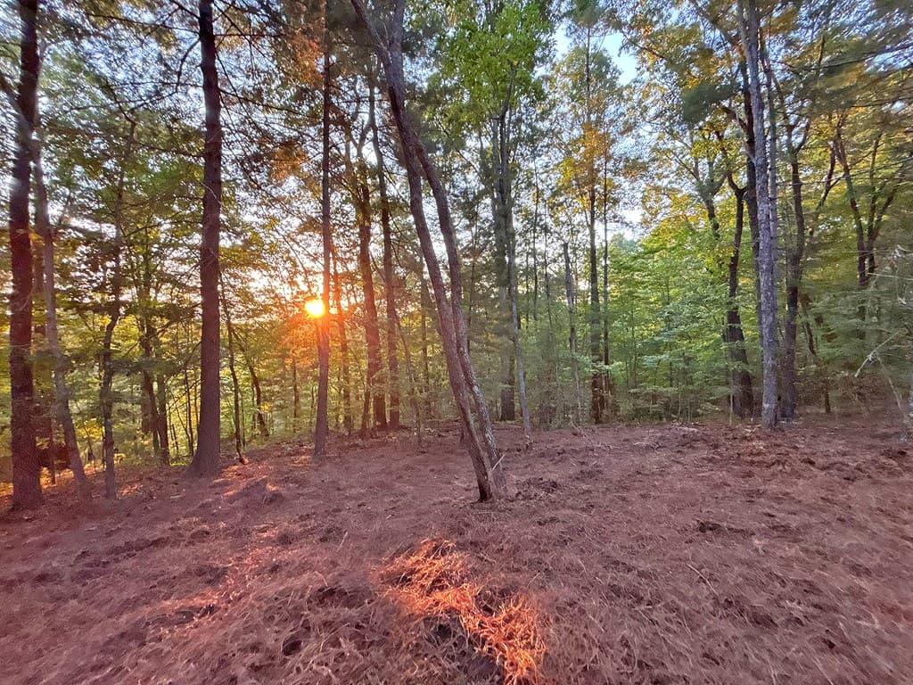 1720 Mt. Springer Road, Ellijay GA 30540 - Photo