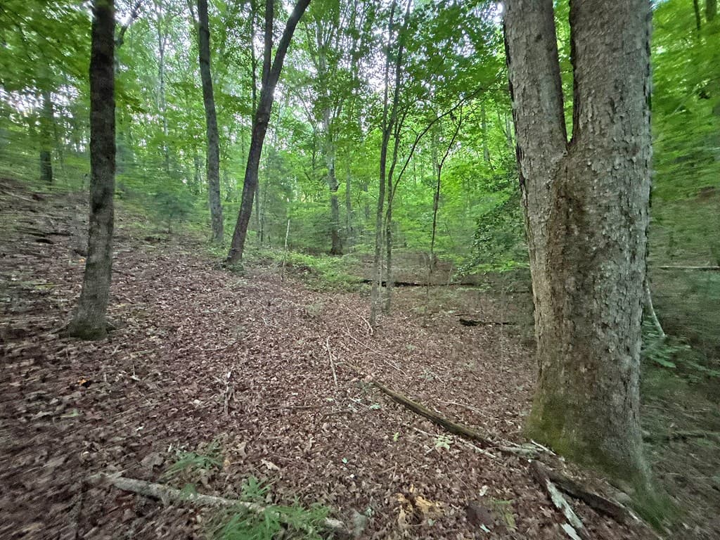 1720 Mt. Springer Road, Ellijay GA 30540 - Photo