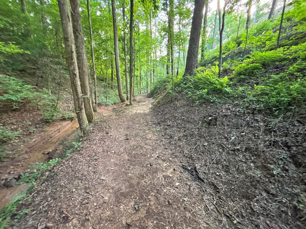 1720 Mt. Springer Road, Ellijay GA 30540 - Photo