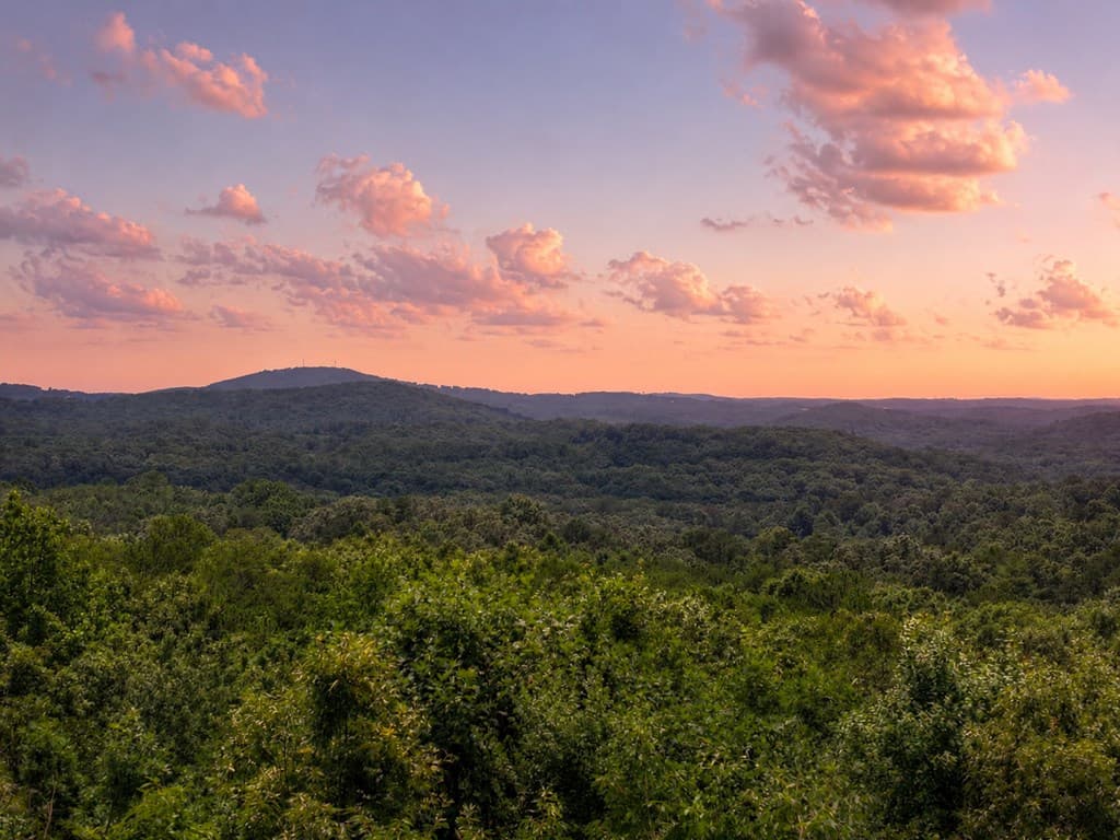55 Beauregards Knob, Ellijay GA 30536 - Photo