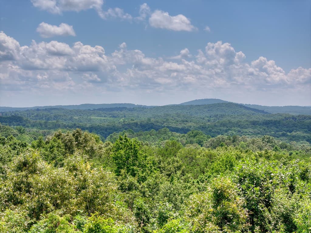 55 Beauregards Knob, Ellijay GA 30536 - Photo