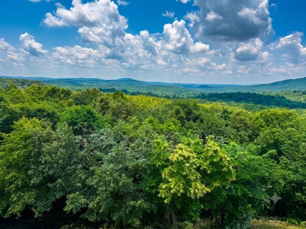 55 Beauregards Knob, Ellijay GA 30536 - Photo
