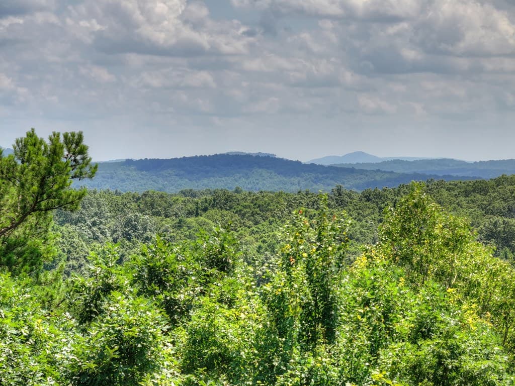 55 Beauregards Knob, Ellijay GA 30536 - Photo
