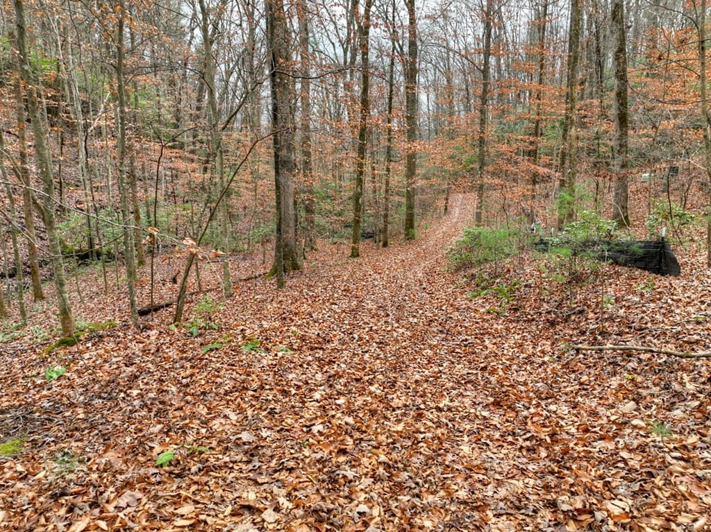 00 Spruill Drive, Ellijay GA 30536 - Photo