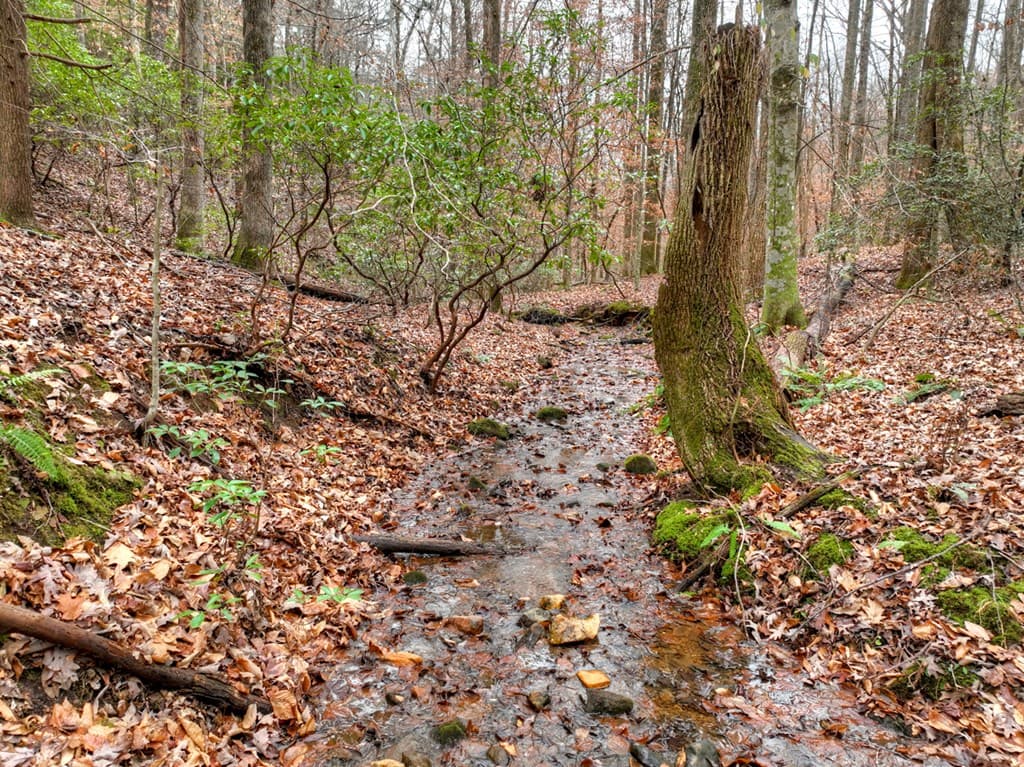 00 Spruill Drive, Ellijay GA 30536 - Photo