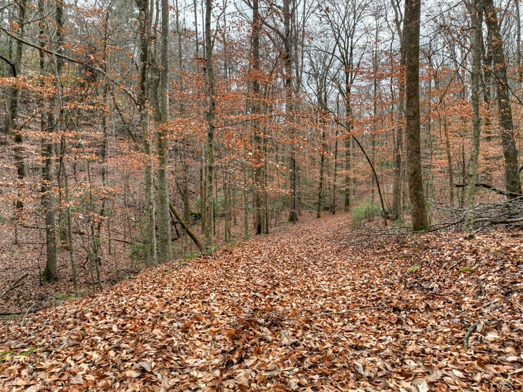 00 Spruill Drive, Ellijay GA 30536 - Photo