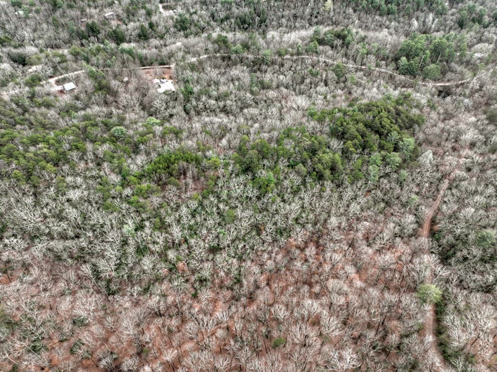 00 Spruill Drive, Ellijay GA 30536 - Photo