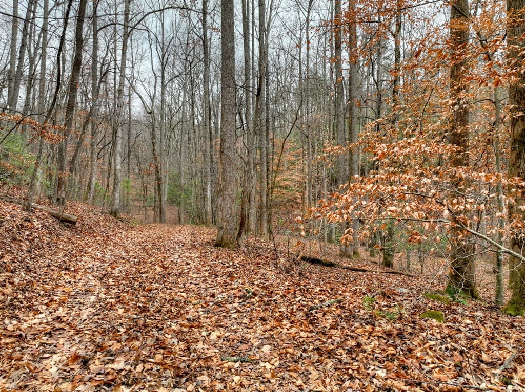 00 Spruill Drive, Ellijay GA 30536 - Photo
