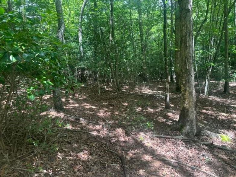 2 Thunder Road, Hayesville NC 28904 - Photo