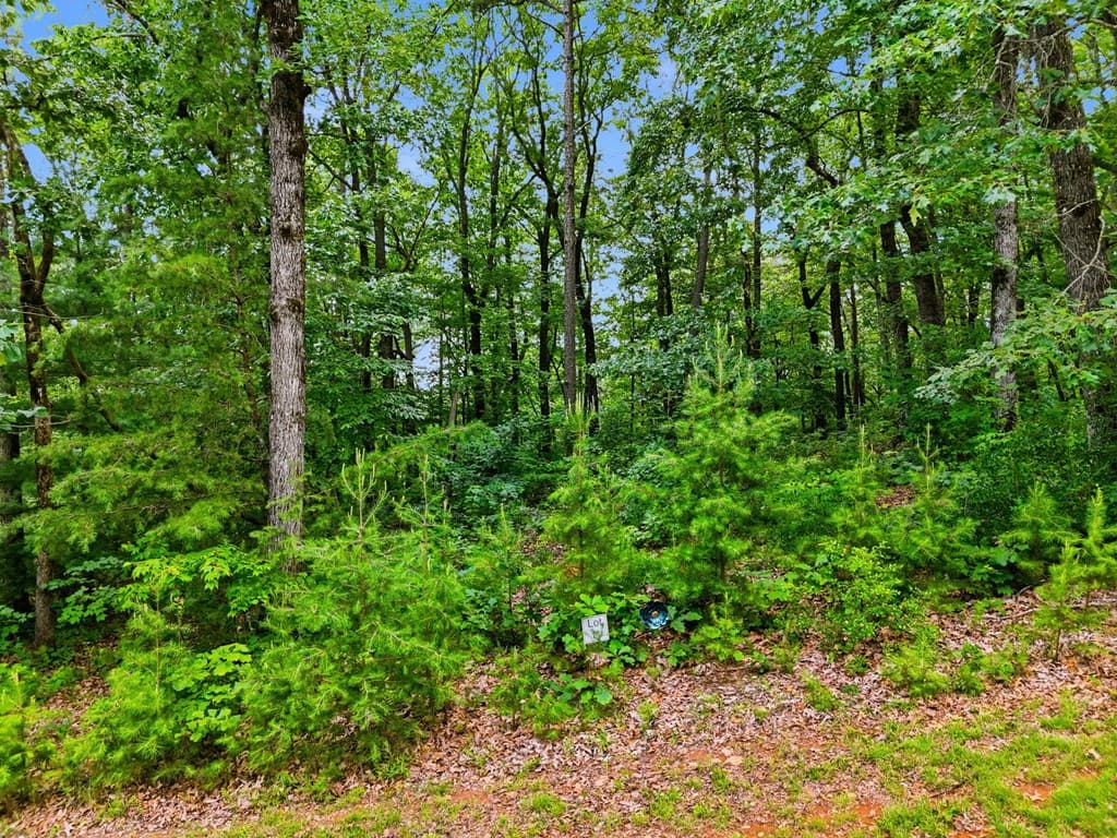 Lot 11 Weeks Drive, Ellijay GA 30540 - Photo