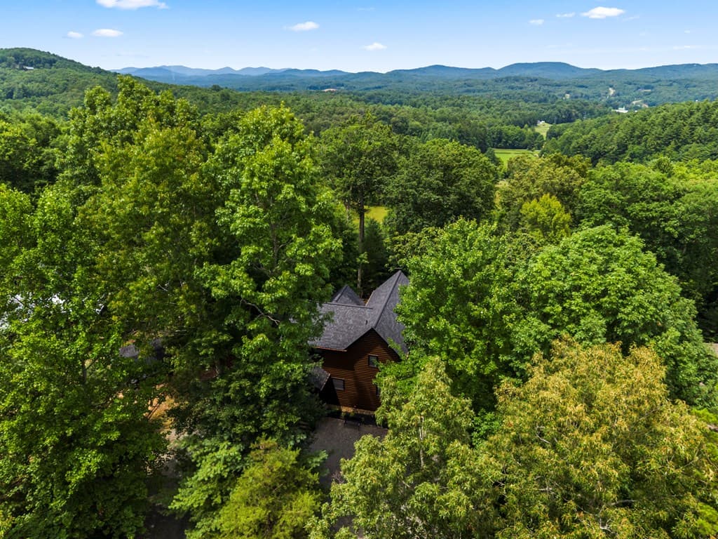 353 Robinson Thomas Road, Morganton GA 30560 - Photo