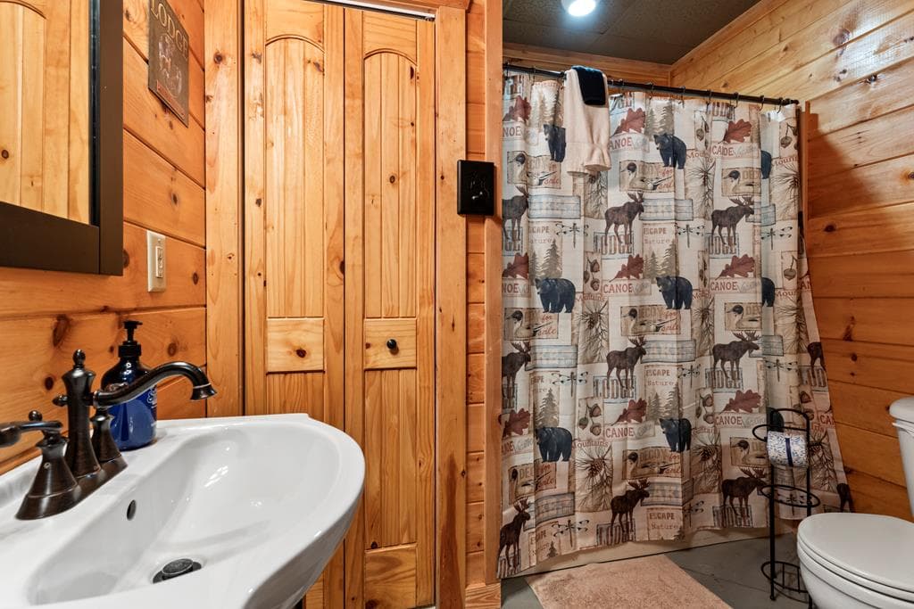 353 Robinson Thomas Road, Morganton GA 30560 - Photo