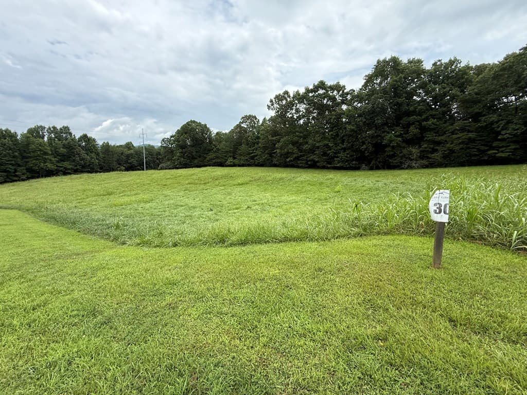 LOT 30 The Grove @ Highland, Blairsville GA 30512 - Photo