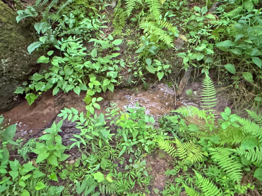 20AC Yonder Way, Talking Rock GA 30175 - Photo